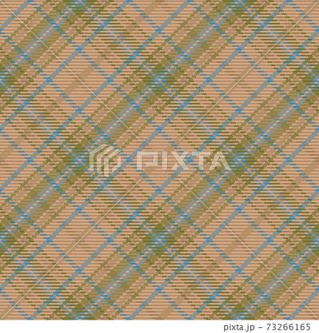Tartan plaid seamless pattern. Color textile background. Flannel shirts. Vector illustration for wallpapers, fabric, cage. 73266165