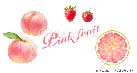 ピンク色のジューシなフルーツのセット 水彩イラスト 桃 白桃 いちご ピンクグレープフルーツ のイラスト素材