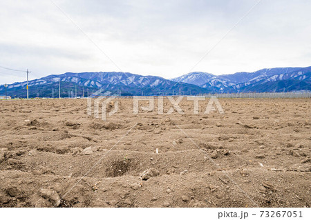 塩尻市 火山灰土の冬の畑の写真素材