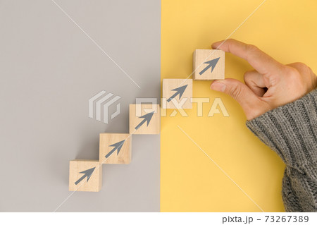 Woman hand arranging wood block for business growth and process for success 73267389