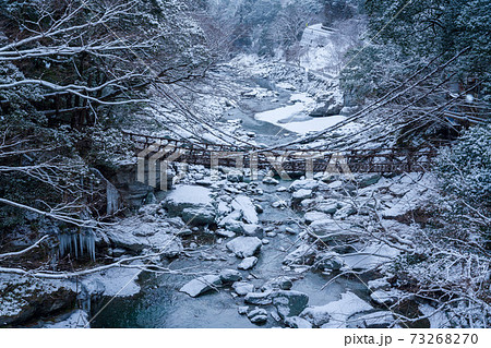 祖谷のかずら橋雪景色 73268270