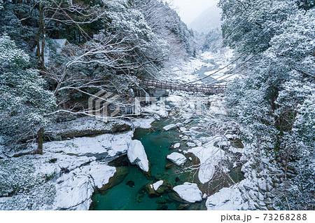 祖谷のかずら橋雪景色 73268288