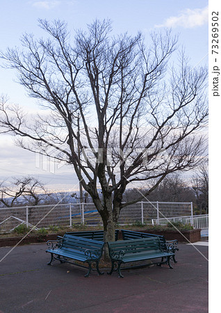 遊園地のベンチ 奈良県生駒市の写真素材