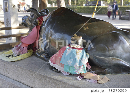 なで牛　北野天満宮 73270299