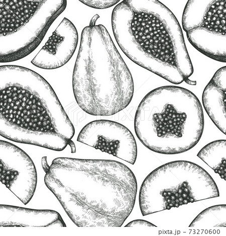 Hand drawn sketch style papaya seamless pattern. Organic fresh fruit vector illustration. Retro fruit background. 73270600