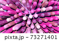 3D rendering of pink ball with not sharp sticks around it, closeup. 73271401