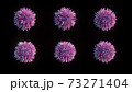 3D rendering of six pink balls with not sharp sticks on black background. 73271404