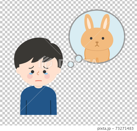 ペットを思い出して悲しむ男の子(ウサギ) ペットを思い出して悲しむ男の子(ウサギ) 73271483