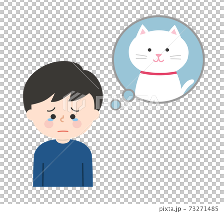 記得他的寵物並哀悼的男孩（貓） 73271485