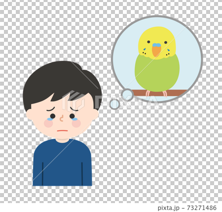 A boy (bird / parakeet) who remembers his pet and mourns 73271486