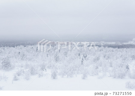 frosty winter landscape - a distant town in a valley in the middle of snowy forests in a frosty haze 73271550