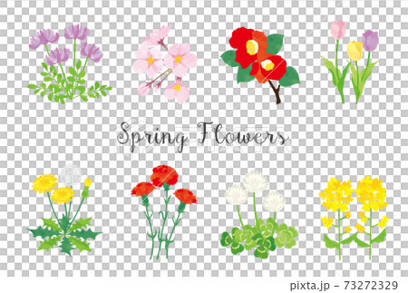 Spring flower illustration material set 73272329