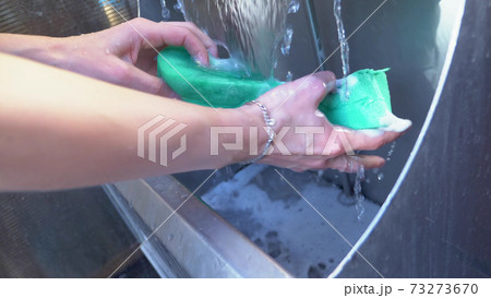 close-up of female hands rinsing a large sponge in an industrial sink 73273670