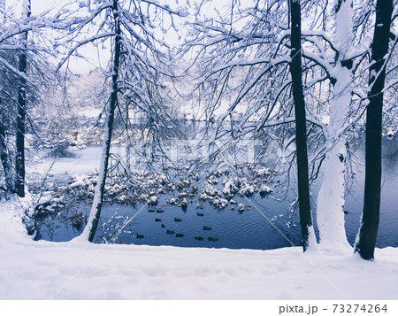 Trees covered with snow and river in winter landscape. Trees covered with snow and river in winter landscape. 73274264