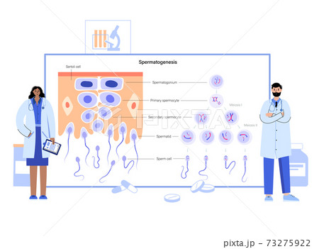 Mitosis process concept Mitosis process concept 73275922