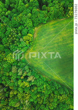 Aerial View Spring Green Field And Forest Landscape. Top View Of Field And Forest Belt. Bird's Eye View 73276002