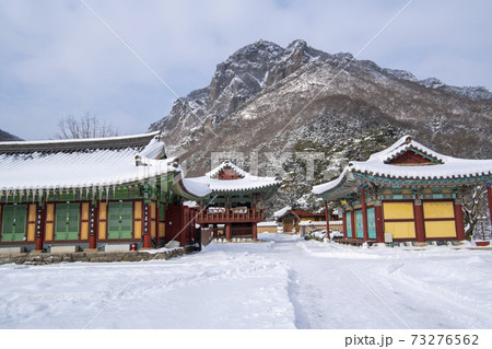 寺院 冬 建築 73276562