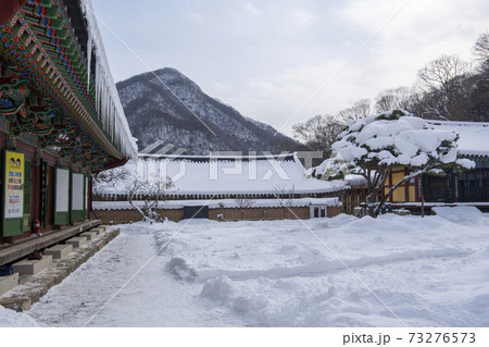 韓国 冬 建築 73276573