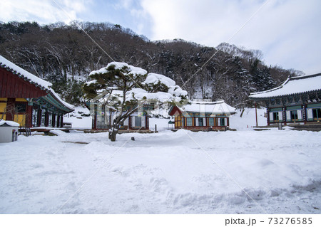 韓国 冬 建築 73276585