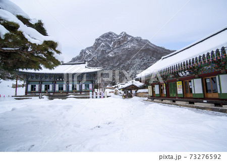 寺院 冬 建築 73276592