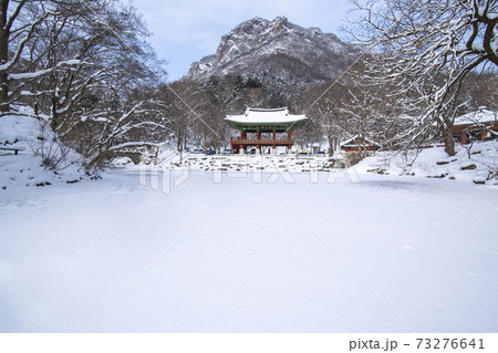 木 冬 建築 73276641