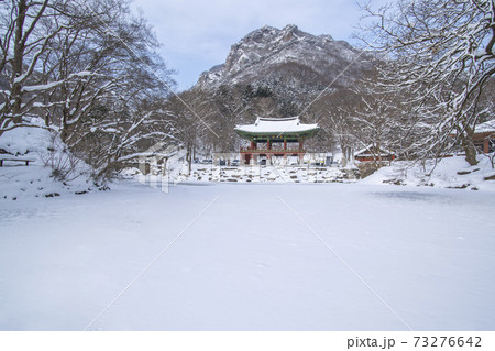 木 冬 建築 73276642