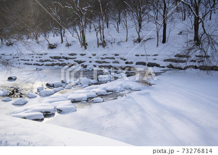 木 冬 季節 73276814