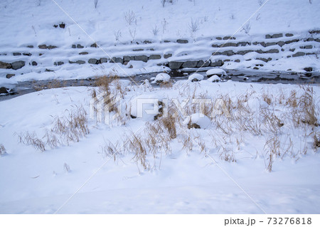 木 冬 季節 73276818