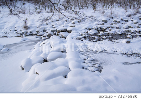 木 冬 季節 73276830