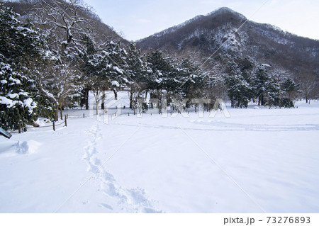 山 冬 季節 73276893