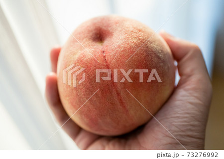 桃 桃 73276992