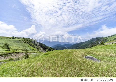 夏の美ヶ原高原 73277129