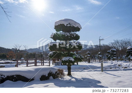 木 山 冬 73277283