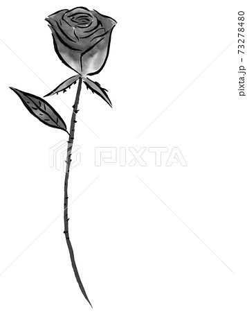 薔薇の花（墨の手描きイラスト）のイラスト素材 [73278480] - PIXTA