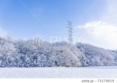 雪の日の送電鉄塔 73279029