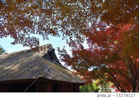 山梨県富士吉田市旧宮下家住宅の紅葉 山梨県富士吉田市旧宮下家住宅の紅葉 73279117