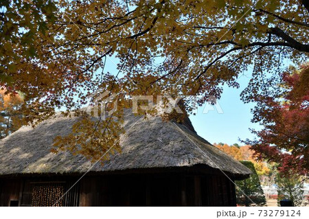 山梨県富士吉田市旧宮下家住宅の紅葉 山梨県富士吉田市旧宮下家住宅の紅葉 73279124