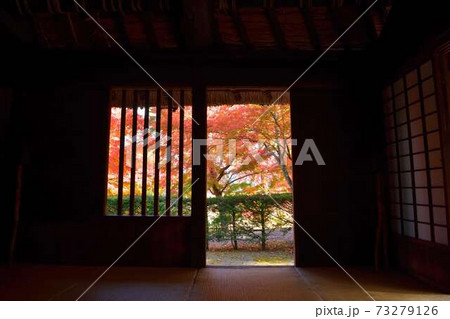山梨県富士吉田市旧宮下家住宅の紅葉 73279126