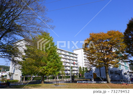 公園と団地 73279452