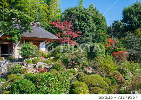 京都　等持院の茶室と庭園　紅葉 73279567