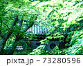 京都・光明寺 73280596