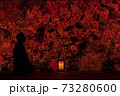 兵庫・安国寺 73280600
