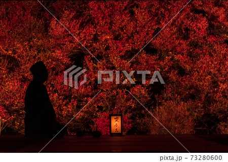 兵庫・安国寺 兵庫・安国寺 73280600