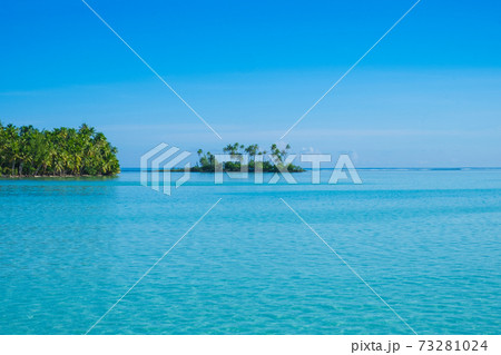 【タヒチ/タハア島】モツ 73281024