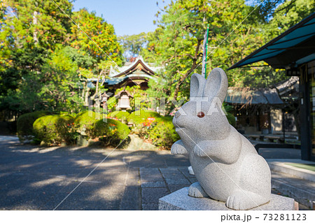京都　岡崎神社の狛うさぎ 73281123