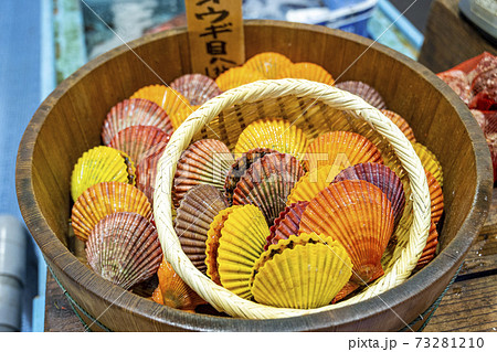 ひおうぎ貝 ヒオウギ貝の写真素材