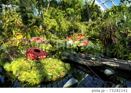 ガーデンズ・バイ・ザ・ベイのクラウドフォレスト 73282141