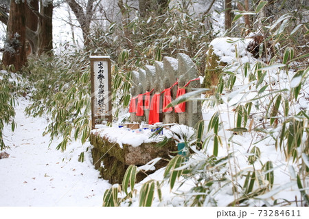 金剛山（六地蔵） 73284611