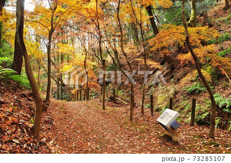 神奈川県立七沢森林公園　沢のさんぽ道紅葉とふれあいの森案内板 73285107