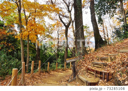 神奈川県立七沢森林公園　ななさわの丘入口紅葉と道しるべ 73285108